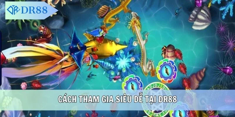 Cách tham gia siêu dễ tại DR88