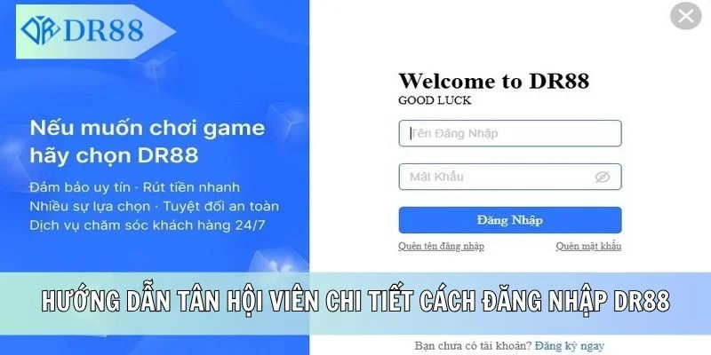 Hướng dẫn tân hội viên chi tiết cách đăng nhập DR88