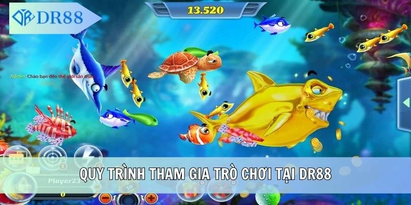 Quy trình tham gia trò chơi tại DR88