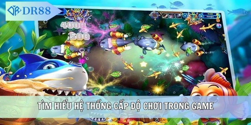 Tìm hiểu hệ thống cấp độ chơi trong game