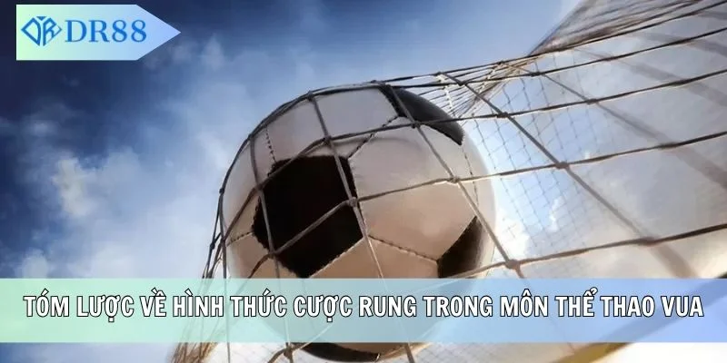 Tóm lược về hình thức cược rung trong môn thể thao vua
